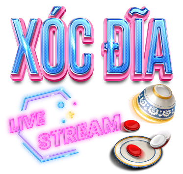 X&oacute;c đĩa bin88